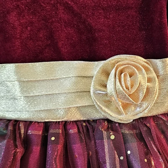 NWT-Bonnie Jean-Girl's-Dress-Size 3T-Burgundy & Gold - Picture 2 of 5